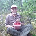  Nikolai, , 79  -  13  2021    