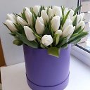 ���� Svetik, ������ - ��������� 3 ������� 2022 � ������ ������(������� ����)�