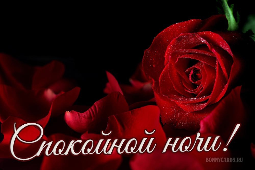   ,    . - 26  2021  21:46