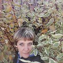 ���� ������, �������, 49 ��� - ��������� 12 ������� 2021 � ������ ���� ����������