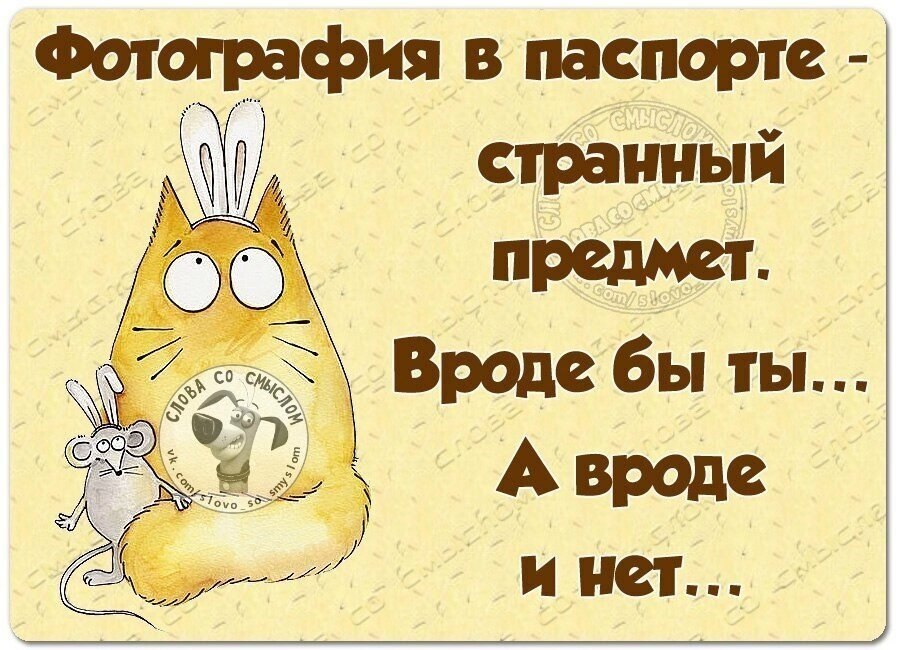 ~