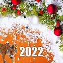 ���� ��������, ������������, 42 ���� - ��������� 1 ������ 2022 � ������ ������ ��������
