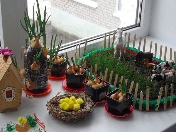 Очень интересное занятие для детей: выращиваем зелень на подоконнике