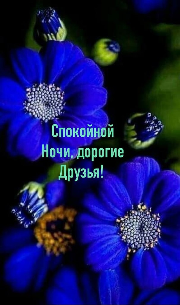  ,    . - 24  2021  22:19