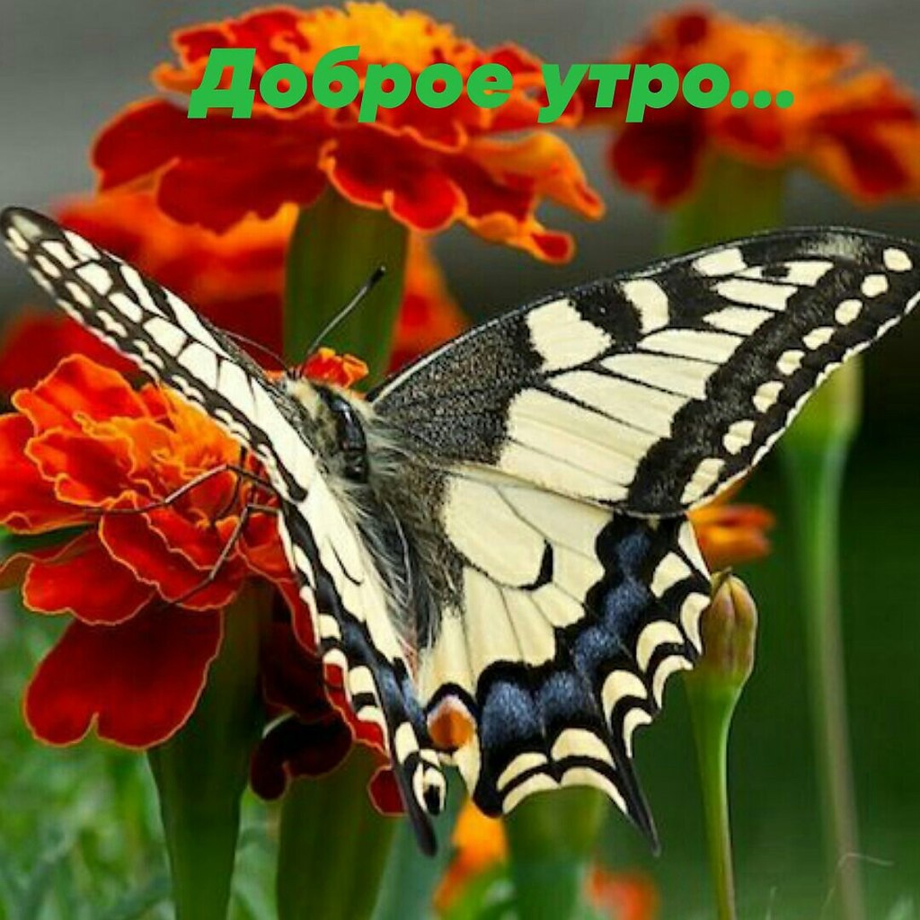   ,    . - 23  2021  10:18 - 8