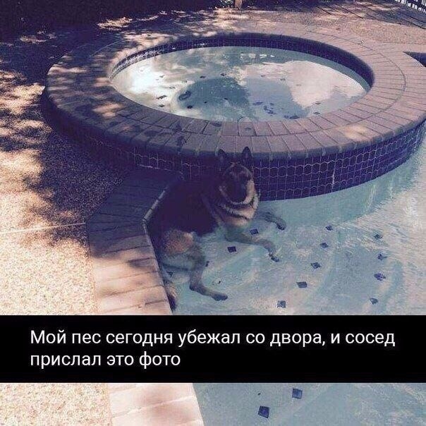  . - 6