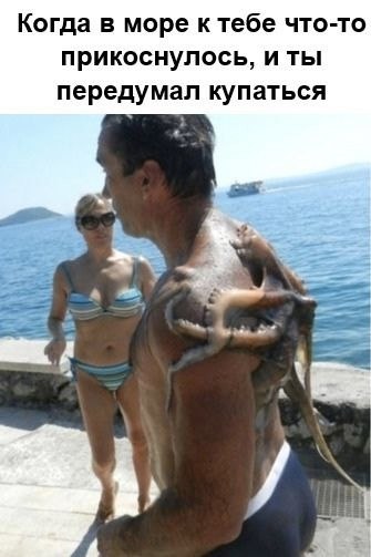      ..