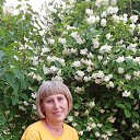 ���� �����, �������, 68 ��� - ��������� 24 ���� 2021 � ������ ���� ����������