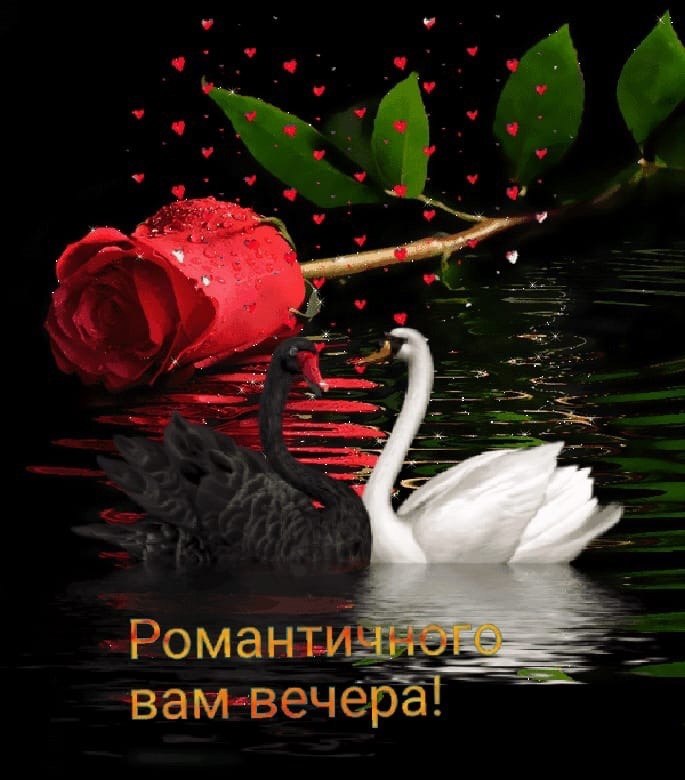   ,    . - 15  2021  19:57 - 2