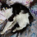 ���� Sergey, ����-�����������, 49 ��� - ��������� 21 ���� 2021 � ������ ���� ����������