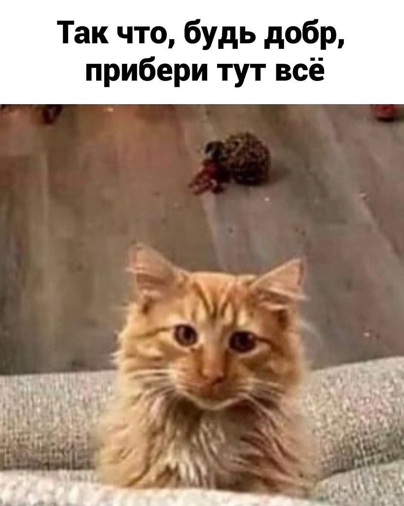    . - 3