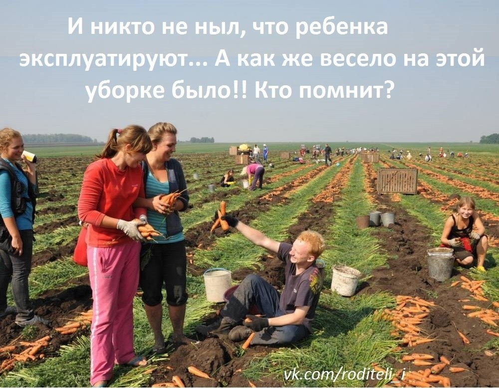  , !() - 9  2021  17:31