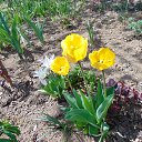  , , 73  -  3  2021      2021