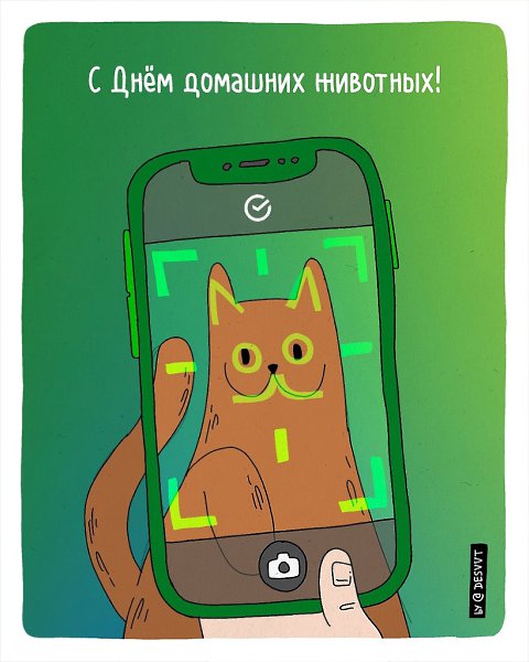 Если без кота твоя жизнь не та, можно закрыть глаза на ободранный диван, и пропавшие ключи от ... - 8