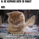  ,  -  16  2021    
