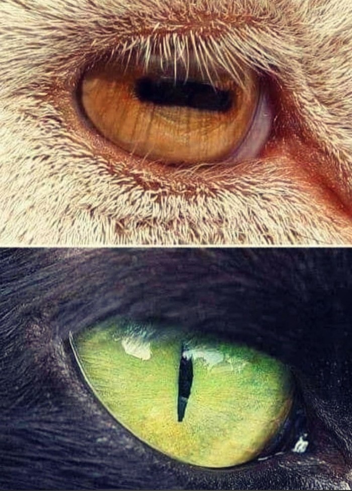          .   a ...