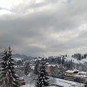  , , 52  -  15  2022    