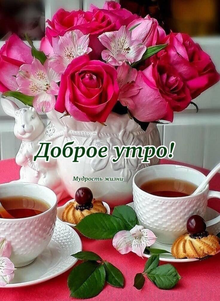      ,  -  ,  ,  ,  ...