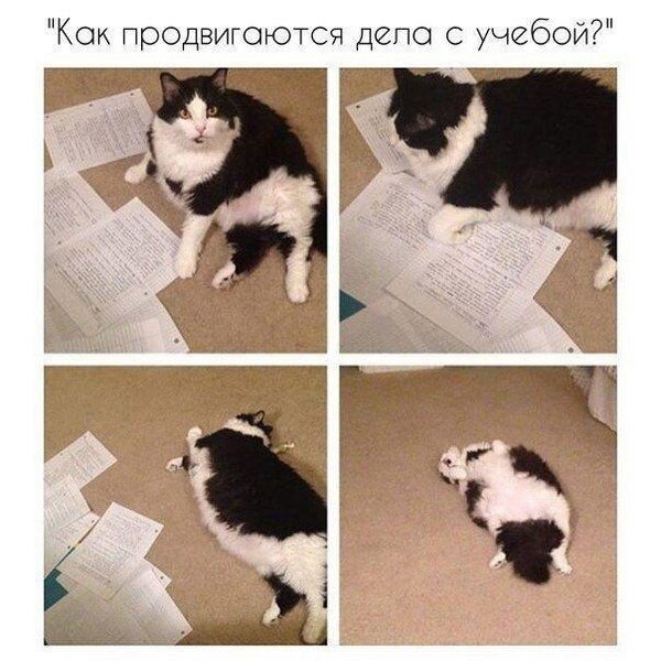    - 1  2021  00:16