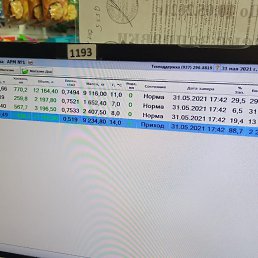 ������, ������������