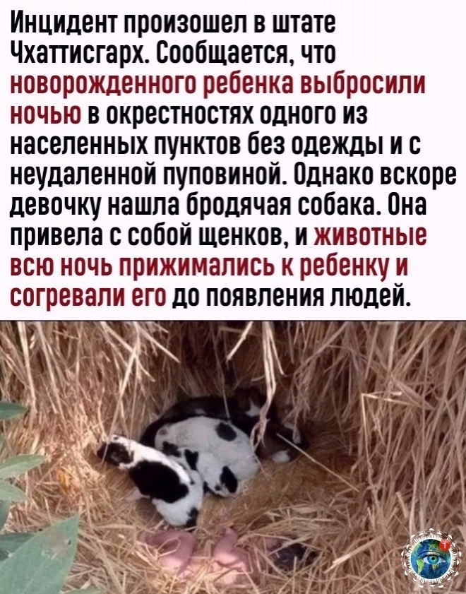 oa o o https://fotostrana.ru/away?to=/sl/CAS2atplant - 2