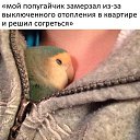  ,  -  17  2022    