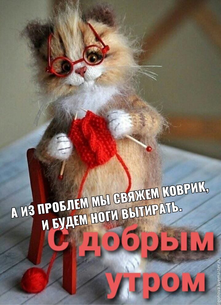   ,    . - 5  2022  15:27 - 5