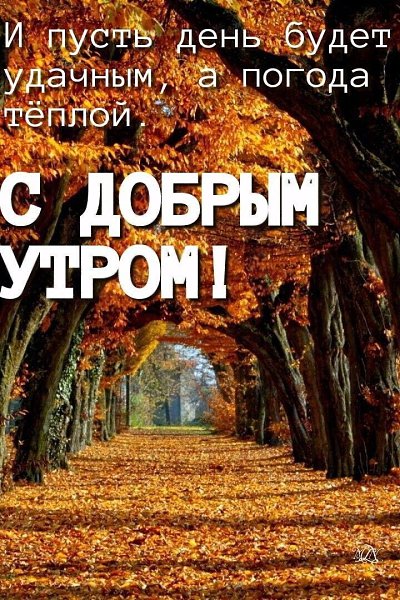 ***Victoria Viktorovna*** - 24 �������� 2021 � 06:03