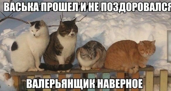 (^///^)