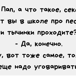  , , 43  -  8  2021