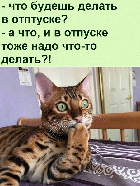   :D - 20  2021  22:29