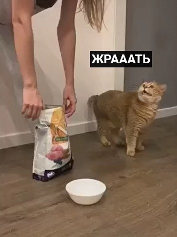     )