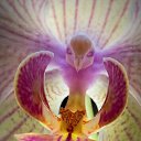 ���� �����, ���������� - ��������� 8 ������� 2021