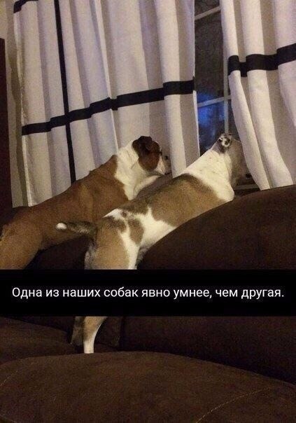  . - 9