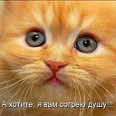 ���� *Bagira*, ����������� - ��������� 28 ������� 2021 � ������ ���� ����������