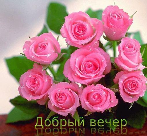   ,    . - 25  2021  21:52