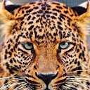 ���� ���������, ������������, 63 ���� - ��������� 12 ���� 2021 � ������ ���� ����������