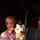 ���� ��������, ������, 53 ���� - ��������� 5 ���� 2021 � ������ ���� ����������