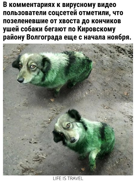   - 2