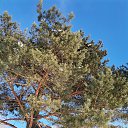 ���� Petr, �����, 63 ���� - ��������� 2 ������ 2022 � ������ ������ ��������