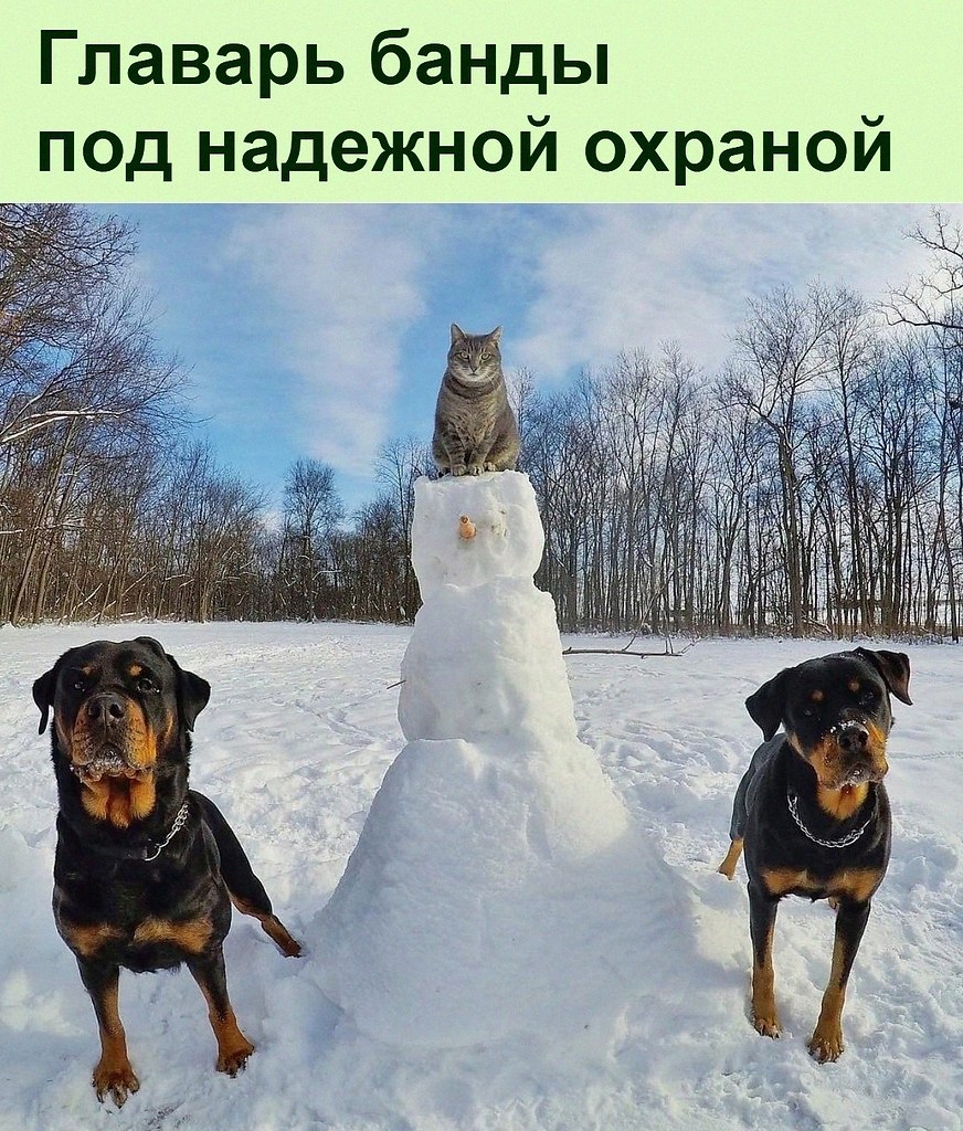   :D - 19  2021  14:45