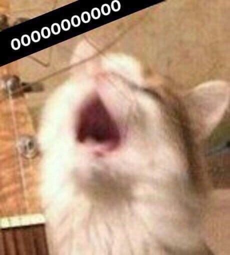   - - 6