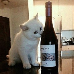  , -, 24  -  30  2021