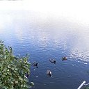 ���� ������, ������, 55 ��� - ��������� 3 ������ 2022 � ������ ���� ����������