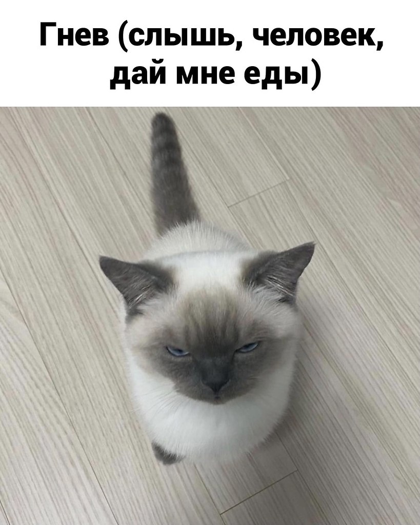 #@bon - 3
