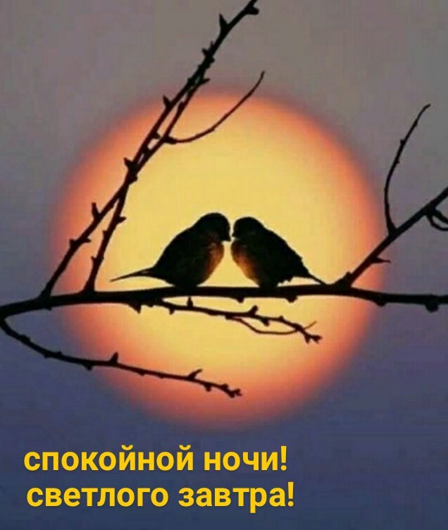   ,    . - 24  2021  22:19 - 6