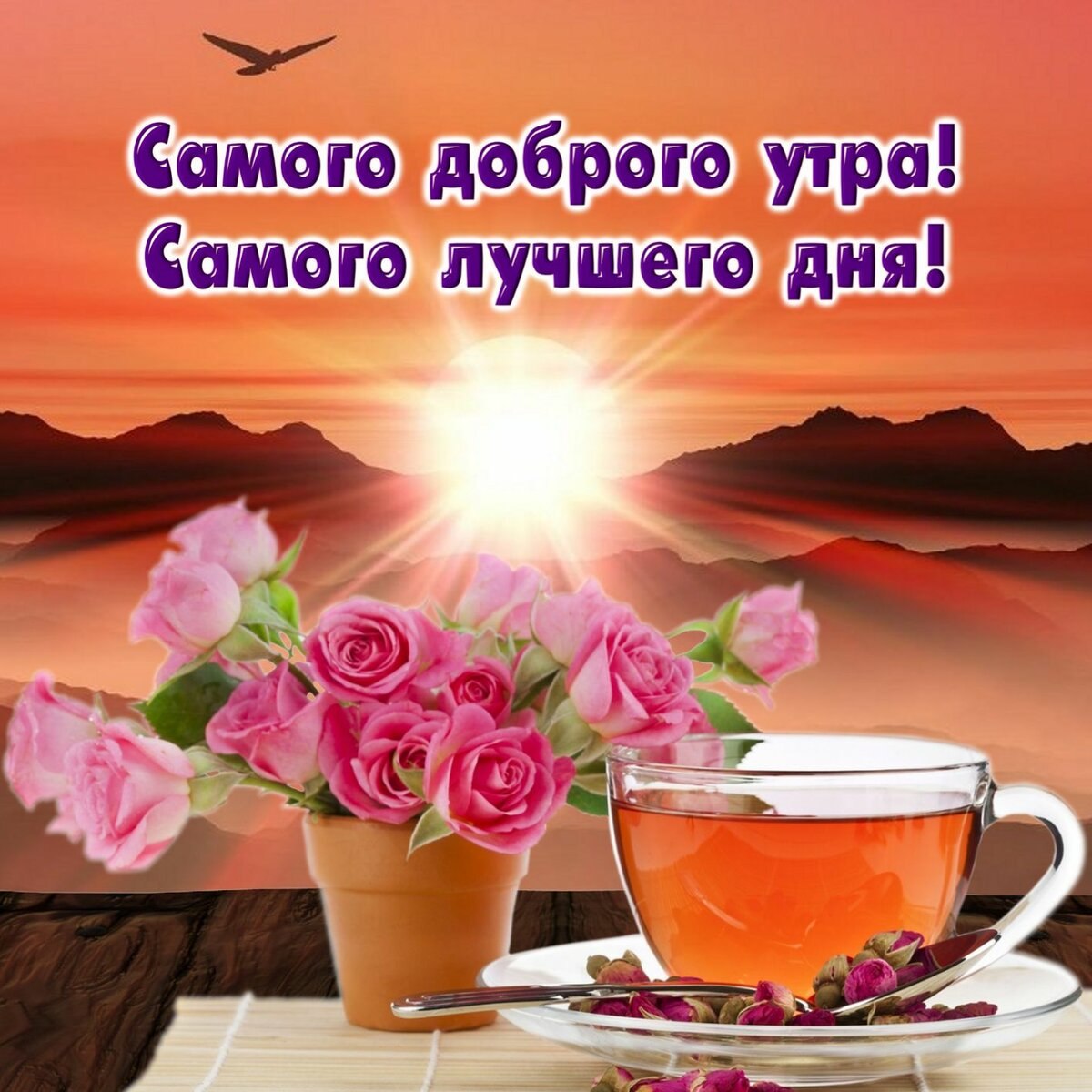   - 17  2021  09:42 - 2