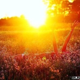 ����, �����������, 40 ���