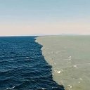  ••,  -  17  2021    ߻