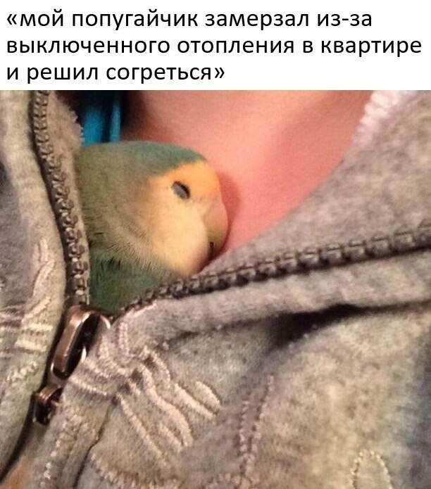  - 17  2022  07:40